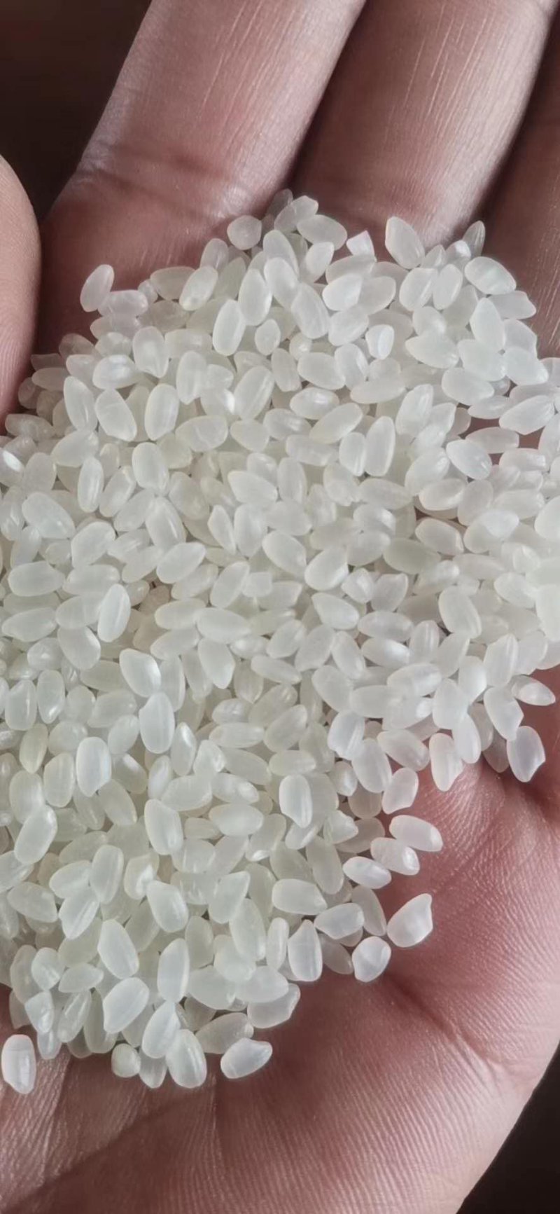 大米批发价格